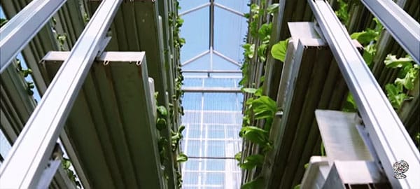 Singapore-vertical-farm